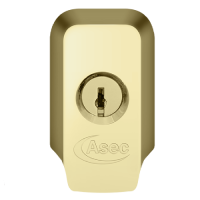 ASEC High Security Rim Cylinder Pull With Cylinder  - Polished Brass