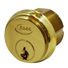 ASEC 5-Pin Screw-In Cylinder  Keyed To Differ Single  - Polished Brass