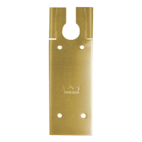 DORMAKABA Cover Plate To Suit BTS80  - Satin Brass