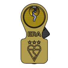 ERA Invincible BS Kitemarked 3 Star Cylinder & Turn 70mm 35Ext/T35 30/10/30T Keyed To Differ - Brass