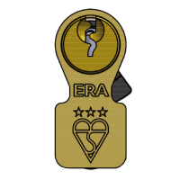 ERA Invincible BS Kitemarked 3 Star Cylinder & Turn 100mm 50Ext/T50 45/10/45T Keyed To Differ - Brass