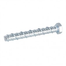 Concrete Masonry Bolts 10pk (M12 x 100mm)