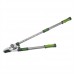 Telescopic Ratchet Anvil Lopping Shears (640mm)