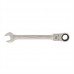 Flexible Head Ratchet Spanner (17mm)